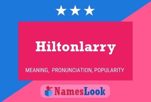 Hiltonlarry Name Poster