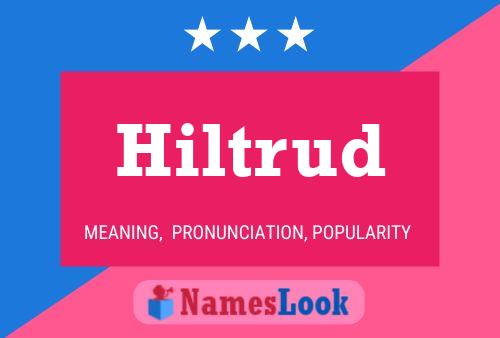 Hiltrud Name Poster