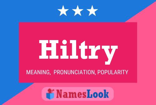 Hiltry Name Poster