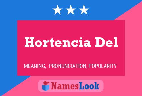 Hortencia Del Name Poster