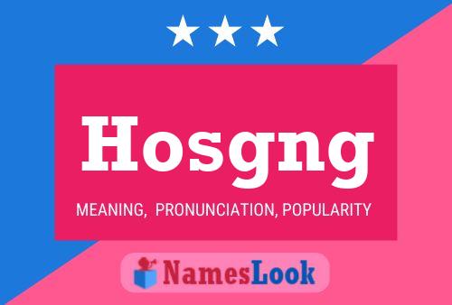 Hosgng Name Poster