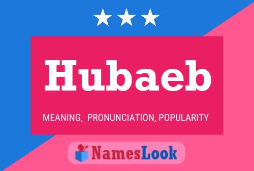 Hubaeb Name Poster