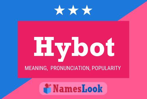 Hybot Name Poster