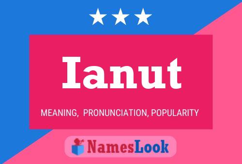 Ianut Name Poster