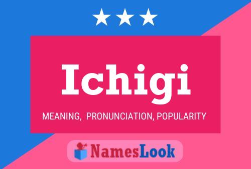 Ichigi Name Poster