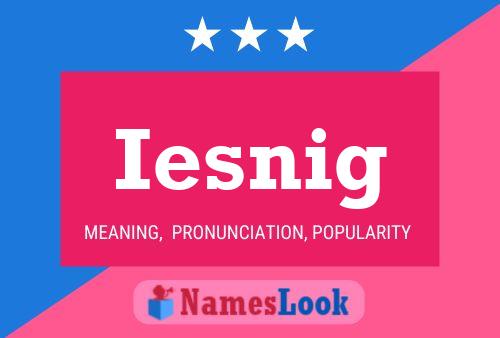 Iesnig Name Poster