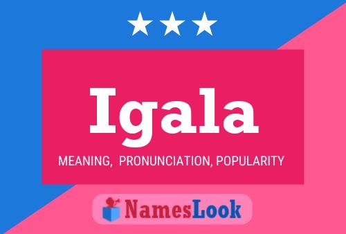 Igala Name Poster