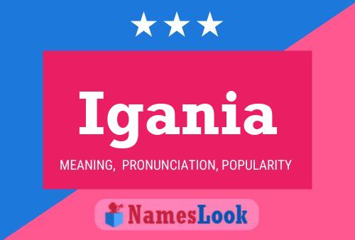 Igania Name Poster