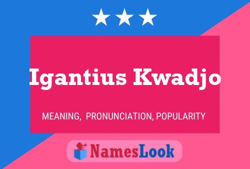 Igantius Kwadjo Name Poster