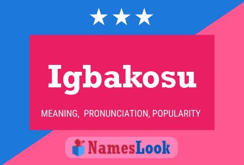 Igbakosu Name Poster