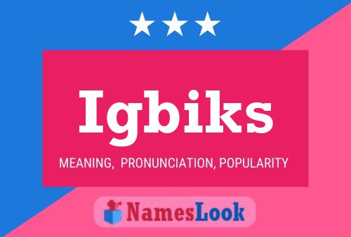 Igbiks Name Poster