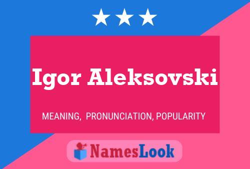 Igor Aleksovski Name Poster