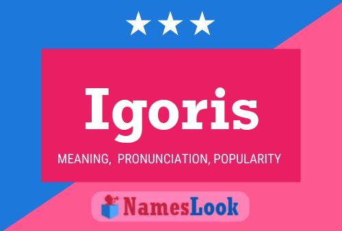 Igoris Name Poster