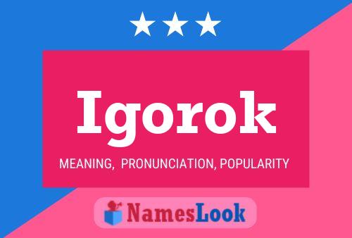 Igorok Name Poster