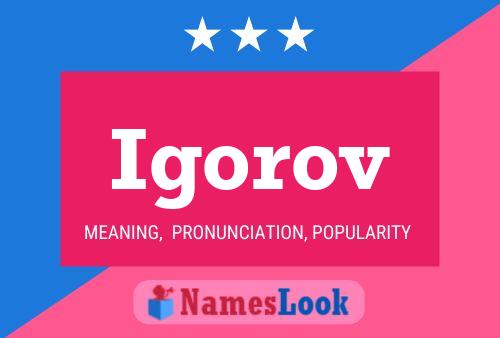 Igorov Name Poster