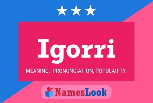 Igorri Name Poster