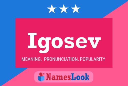 Igosev Name Poster