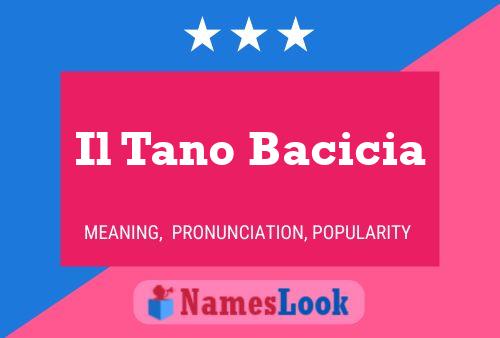 Il Tano Bacicia Name Poster