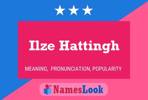 Ilze Hattingh Name Poster