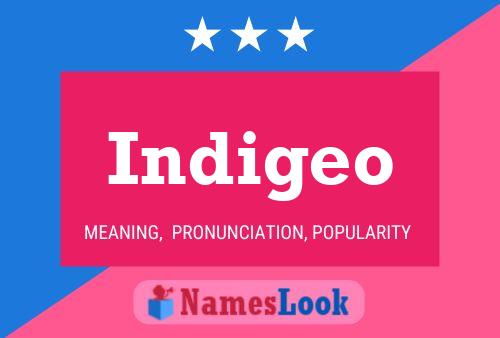 Indigeo Name Poster