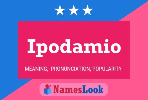 Ipodamio Name Poster