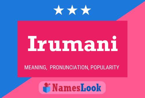 Irumani Name Poster