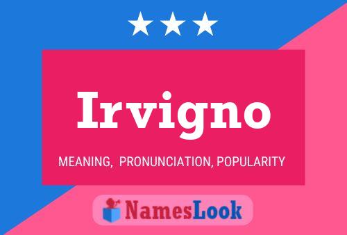 Irvigno Name Poster