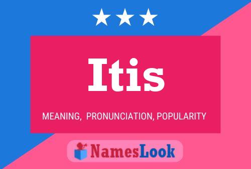 Itis Name Poster