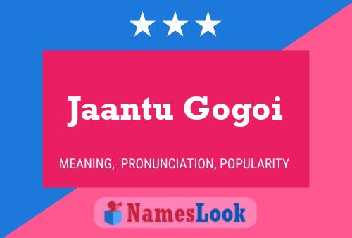 Jaantu Gogoi Name Poster