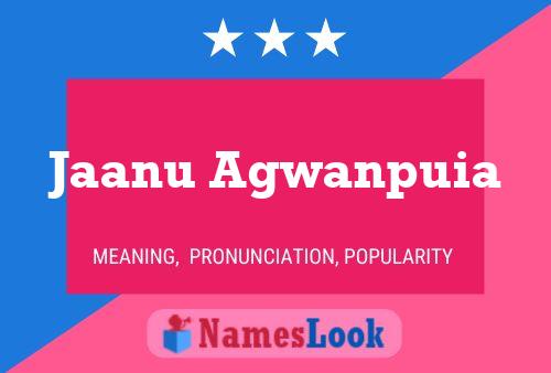 Jaanu Agwanpuia Name Poster