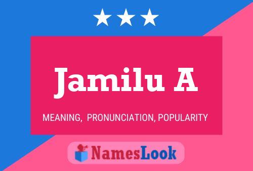 Jamilu A Name Poster