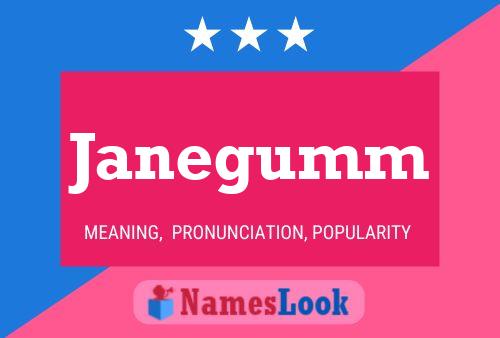 Janegumm Name Poster