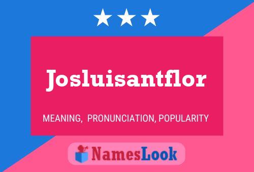 Josluisantflor Name Poster