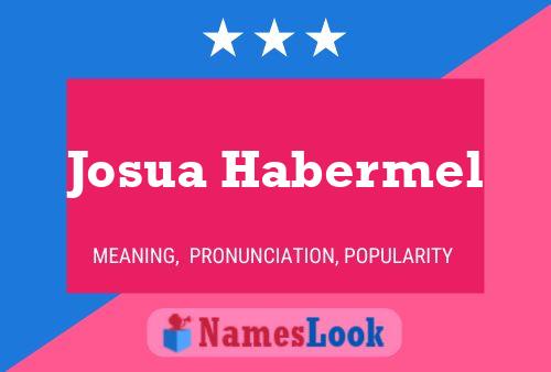 Josua Habermel Name Poster