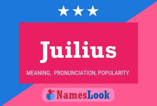 Juilius Name Poster