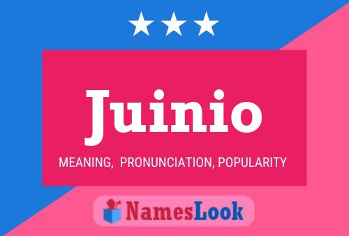 Juinio Name Poster