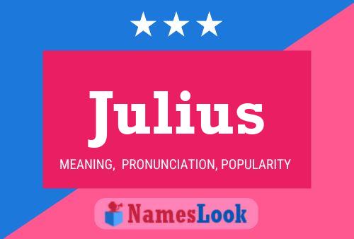 Julius Name Poster