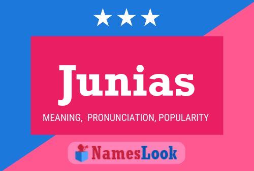 Junias Name Poster