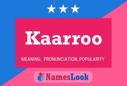 Kaarroo Name Poster