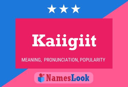 Kaiigiit Name Poster