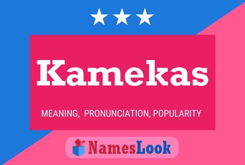 Kamekas Name Poster