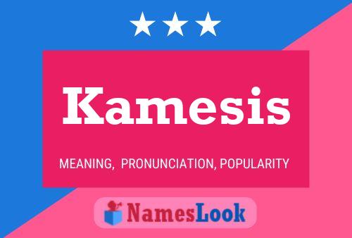 Kamesis Name Poster