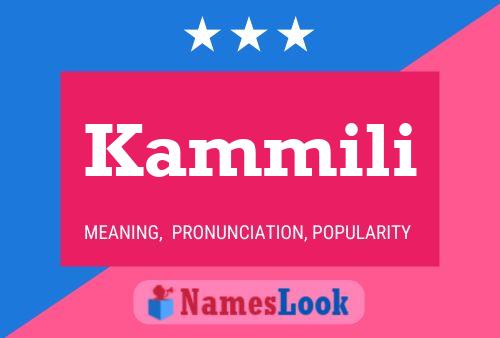 Kammili Name Poster