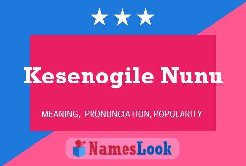 Kesenogile Nunu Name Poster