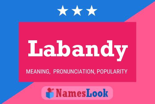 Labandy Name Poster