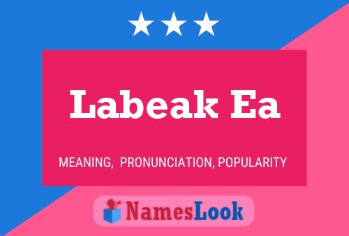 Labeak Ea Name Poster