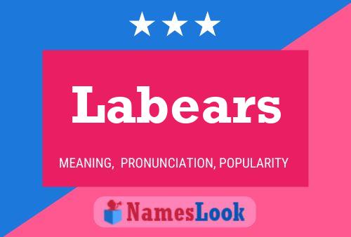 Labears Name Poster