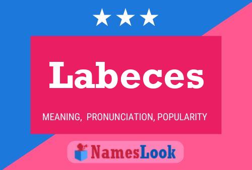 Labeces Name Poster