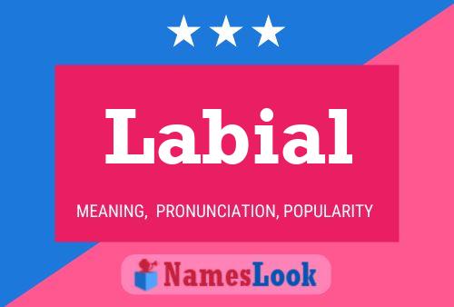 Labial Name Poster