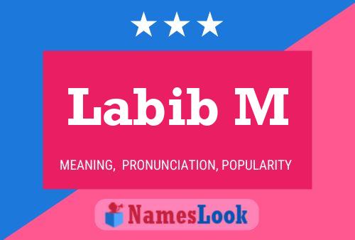 Labib M Name Poster